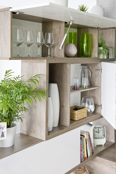 Plantas en el Feng Shui decoracion feng shui